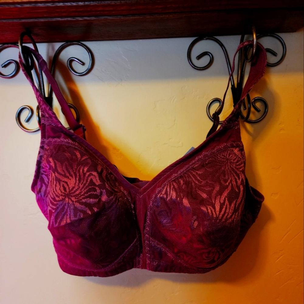 Gorgeous Raspberry 40DD Bra NWT